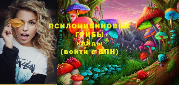 MDMA Алексеевка