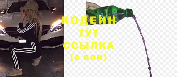 шишки Новодвинск