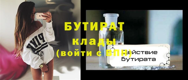 шишки Новодвинск