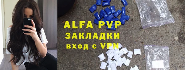 крисы Алзамай