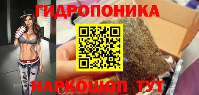 тгк Гусев