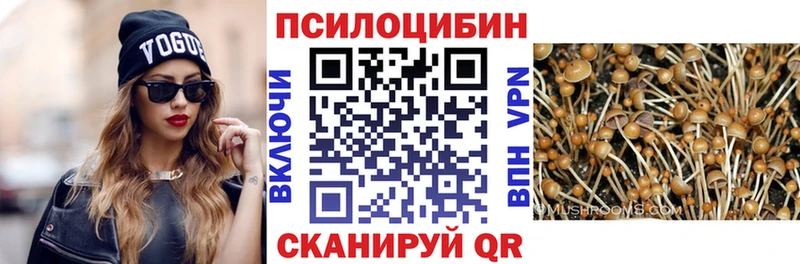 Галлюциногенные грибы GOLDEN TEACHER  Белгород 