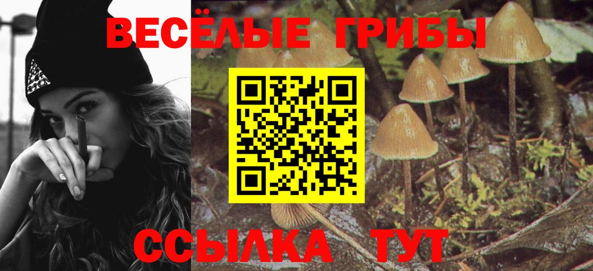 Галлюциногенные грибы Magic Shrooms  Галлюциногенные грибы мицелий  Вход с VPN  Белгород 